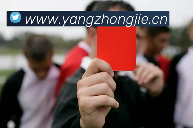 巅峰国标pg官网入口APP 高清赛事图